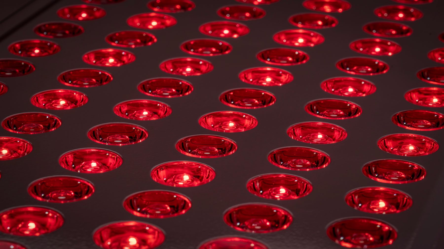 LED & Infrared Light Therapy